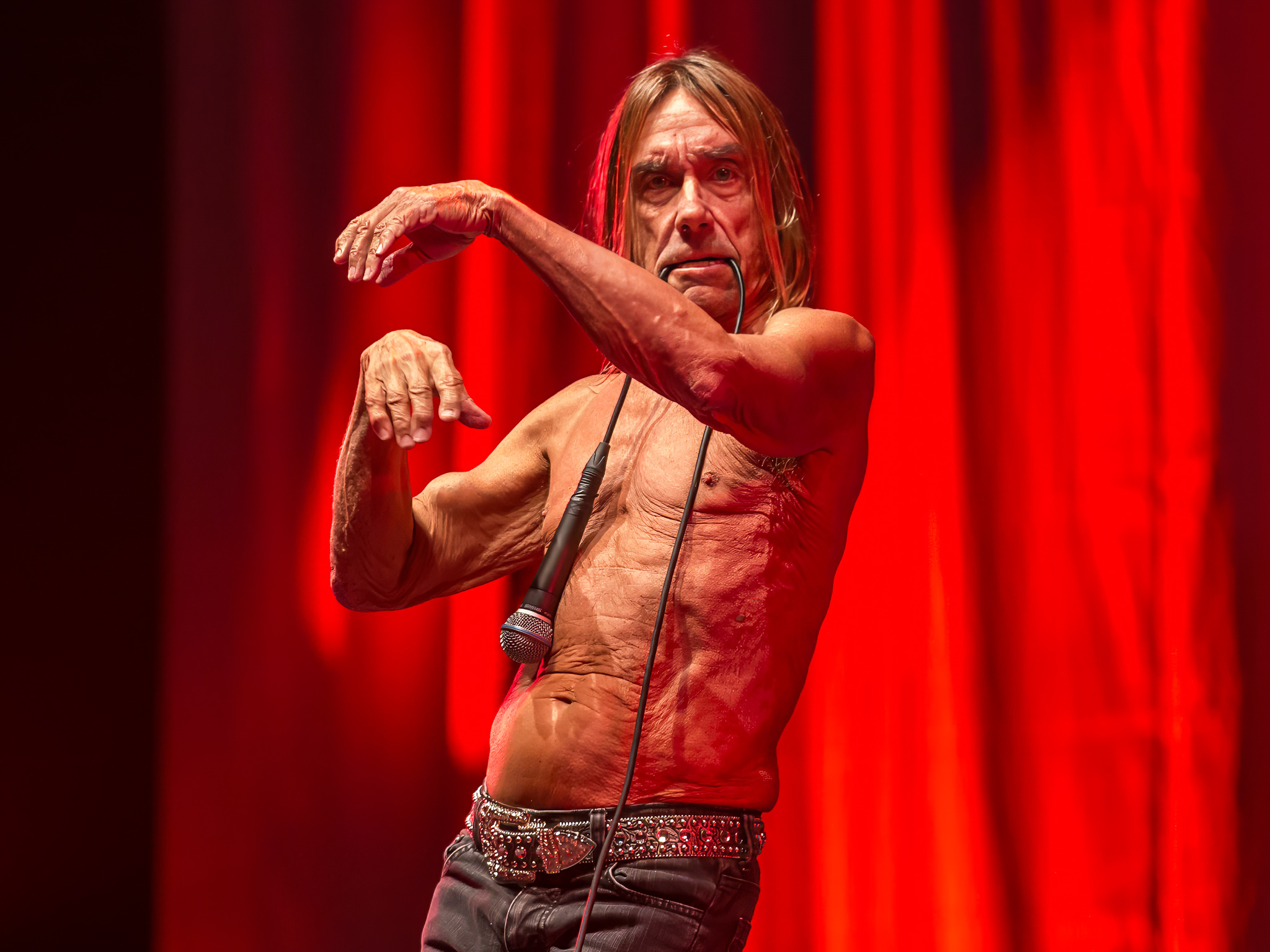 Iggy Pop by Bullet-ray Photography